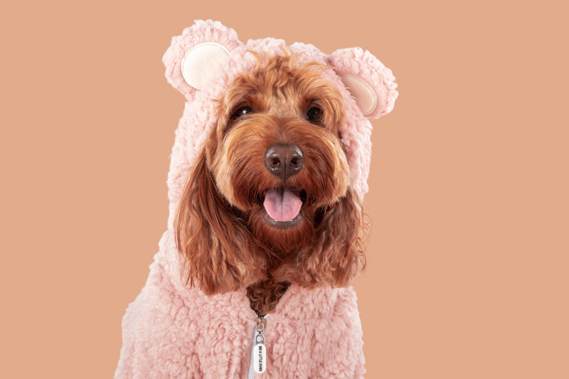 Teddy Dog Hoodie Jumper in Pink