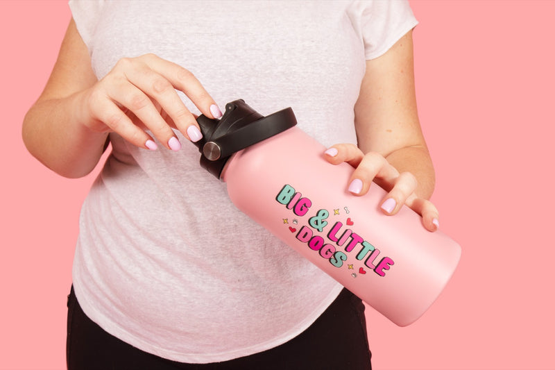 ON-THE-GO INSULATED DRINK BOTTLE: Pink {FINAL SALE}