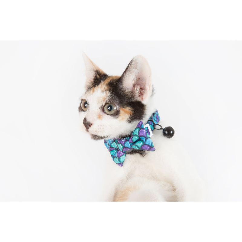 Little Kitty Co. Cat Collar & Bow Tie Scaled Back