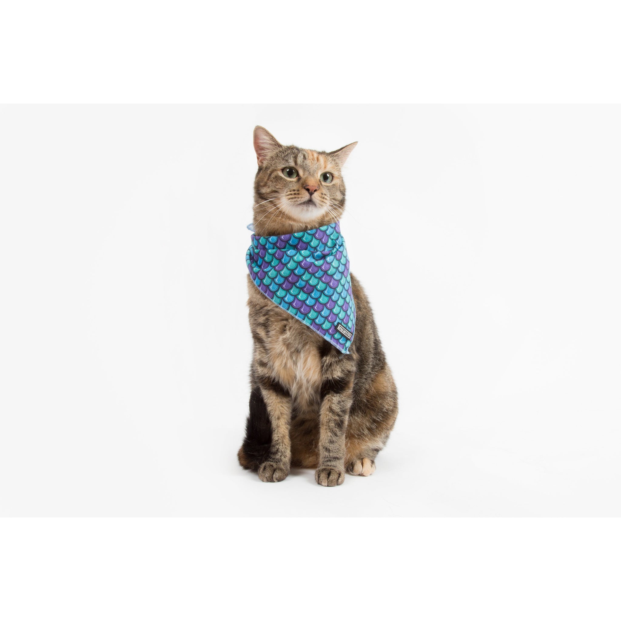 Little Kitty Co. Cooling Bandana Scaled Back