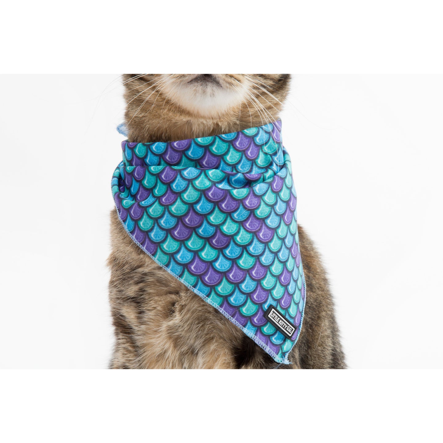 Little Kitty Co. Cooling Bandana Scaled Back