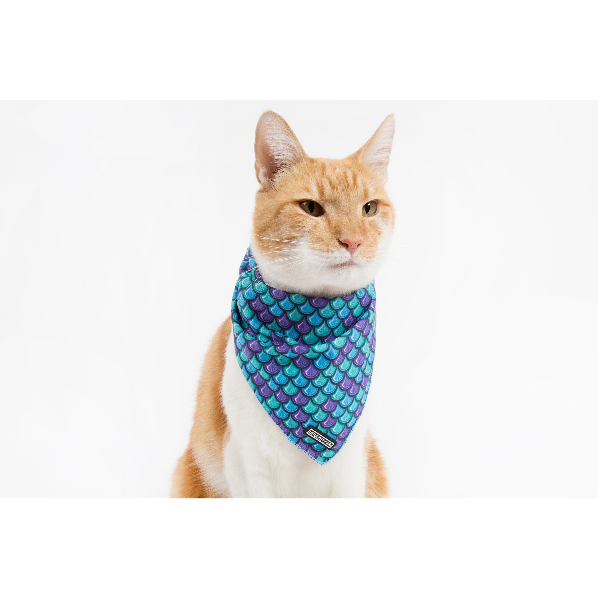 Little Kitty Co. Cooling Bandana Scaled Back