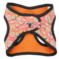 CAT STEP IN HARNESS: Sashimi
