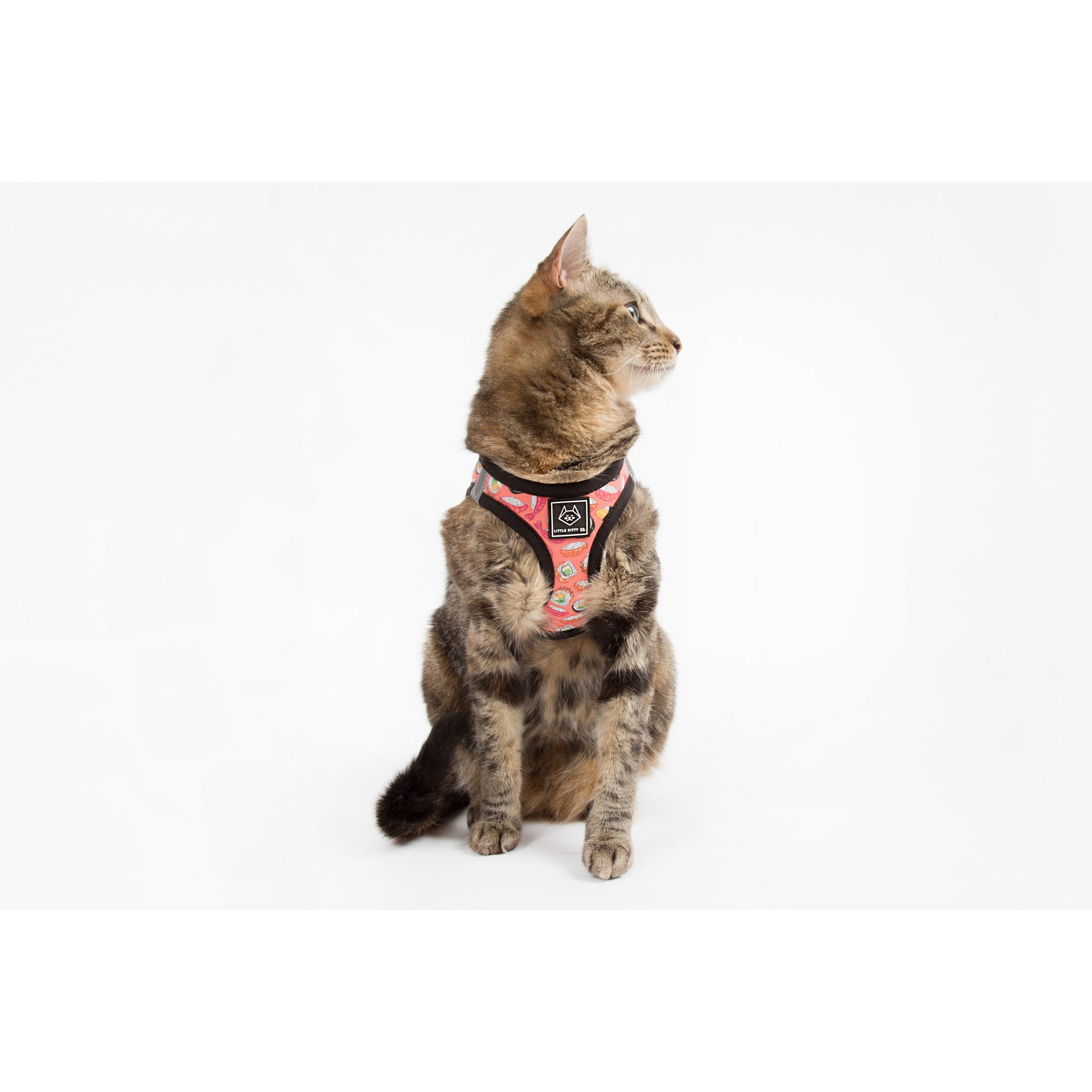 Little Kitty Co. Cat Step In Harness Sashimi Sushi