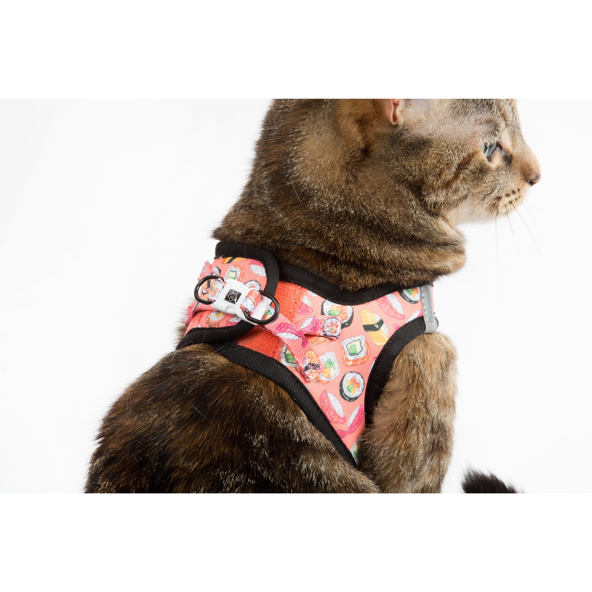 Little Kitty Co. Cat Step In Harness Sashimi Sushi