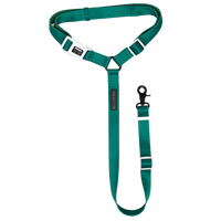 PREMIUM DOG CAR HEADREST RESTRAINT: Forest Green