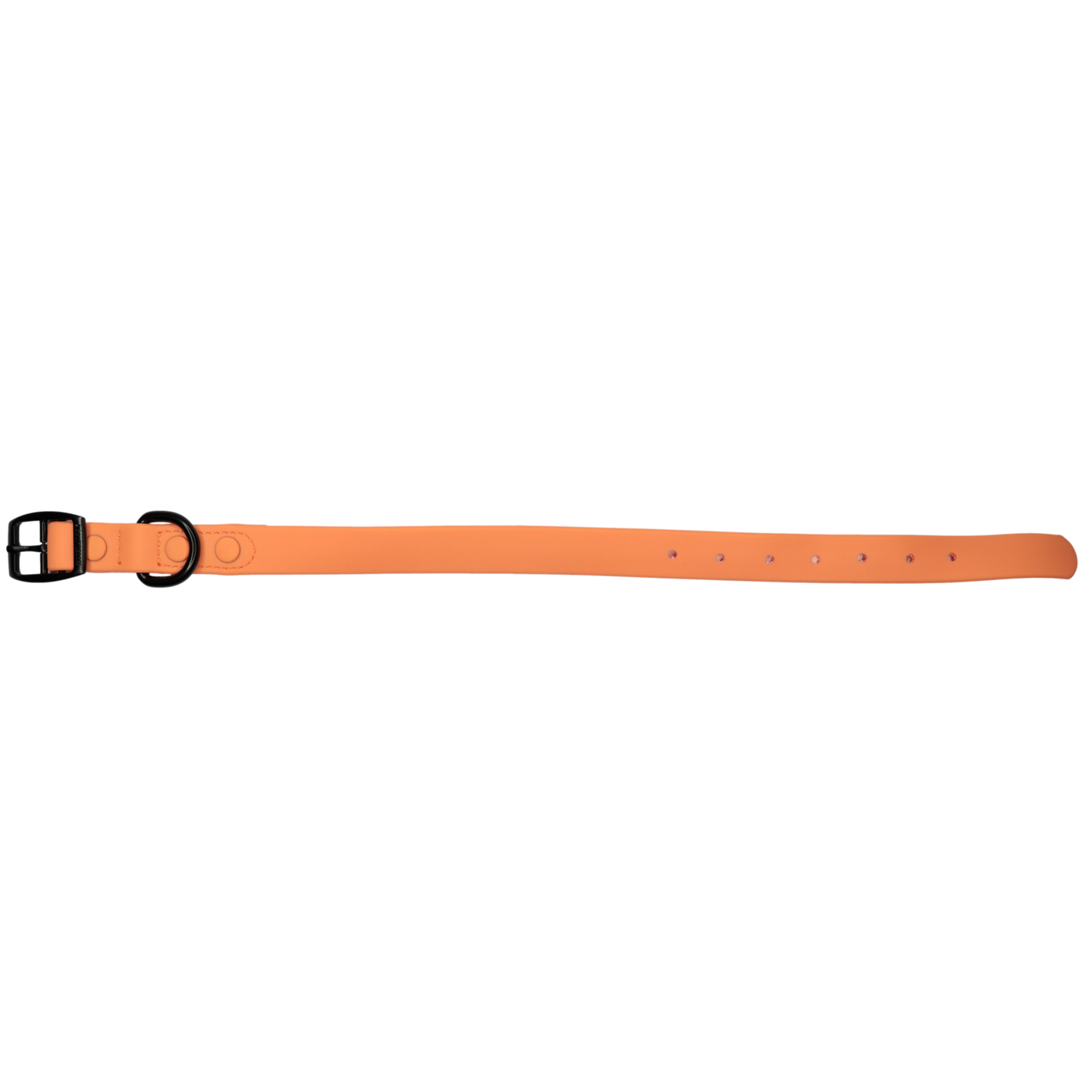 Waterproof Dog Collar Coral