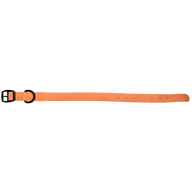 Waterproof Dog Collar Coral