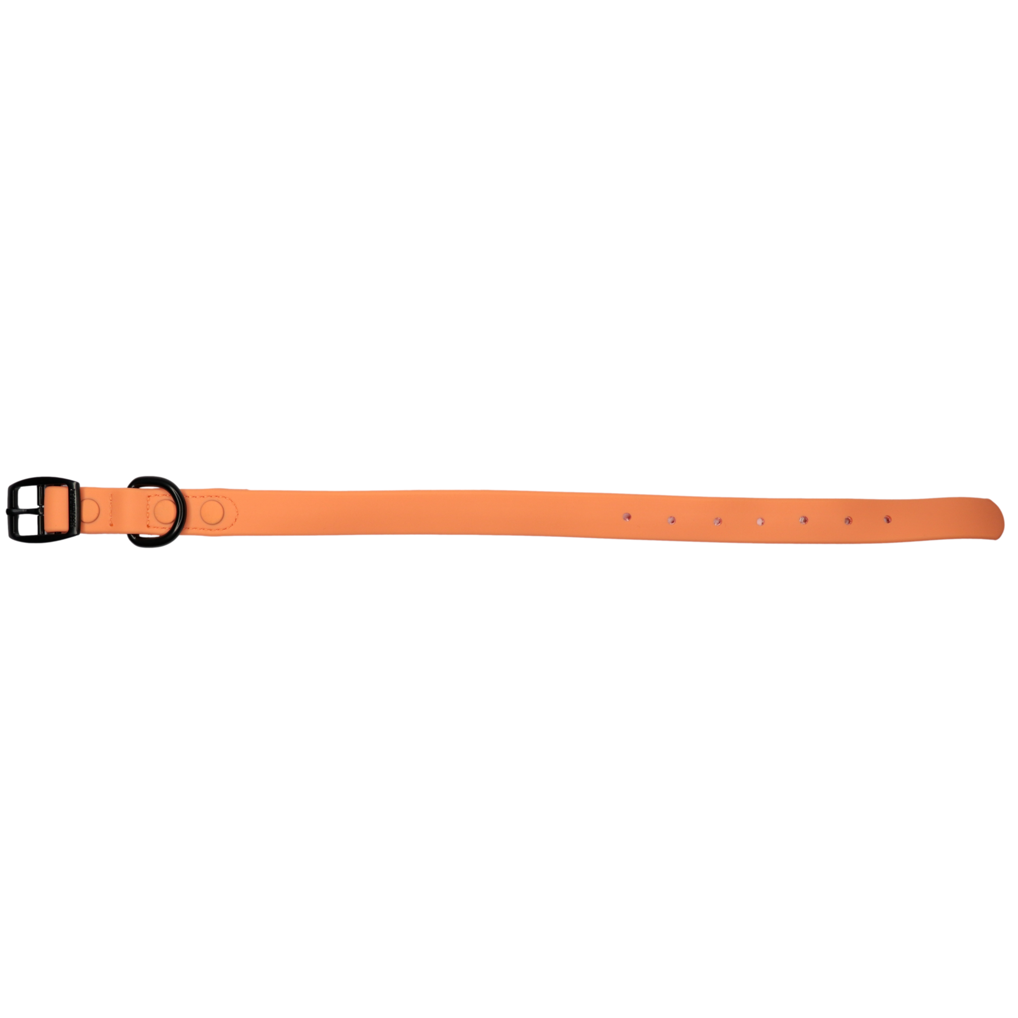 Waterproof Dog Collar Coral