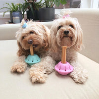DOG TREATS | Super Dog Chew: Chew Bar Holder | GREEN
