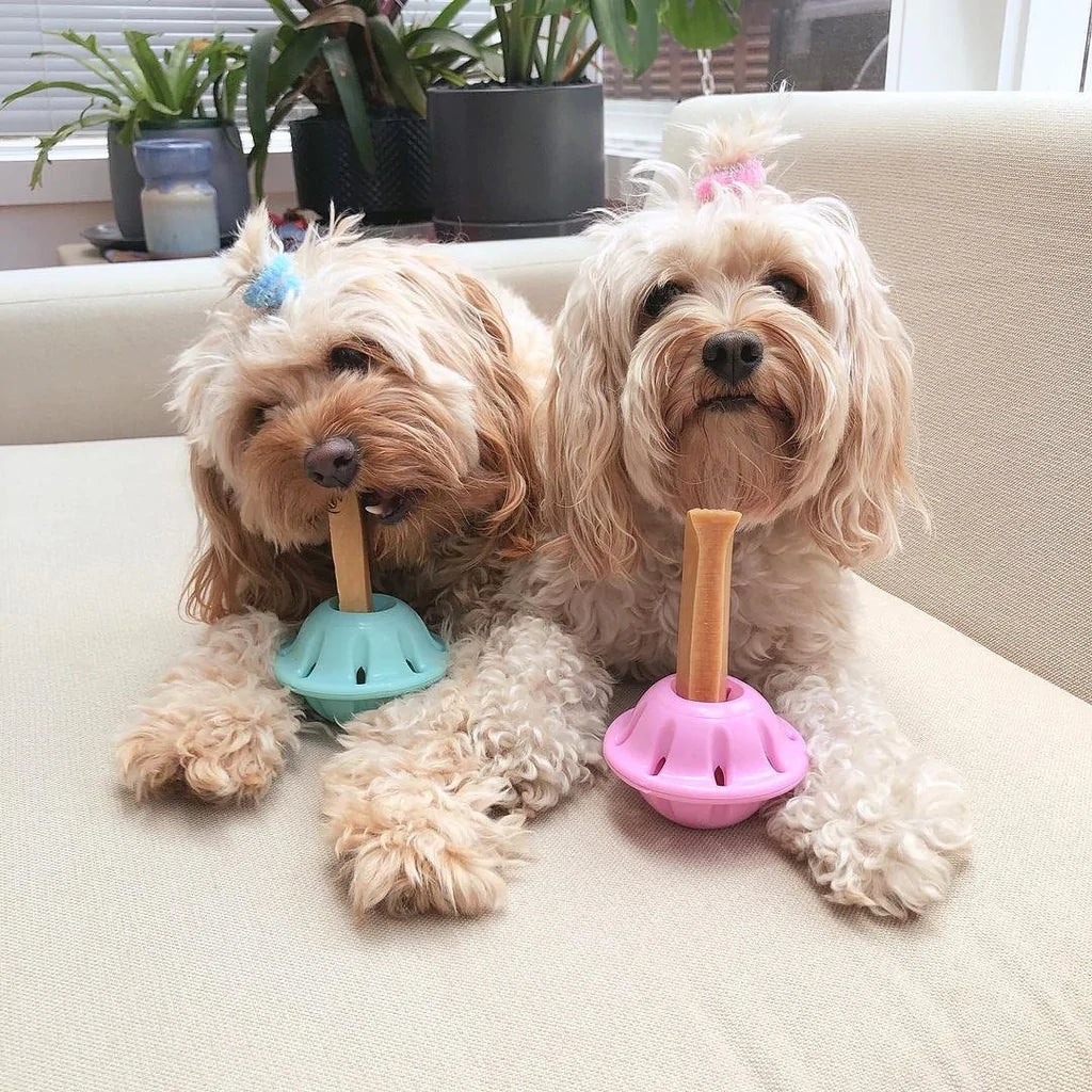 DOG TREATS | Super Dog Chew: Chew Bar Holder | GREEN