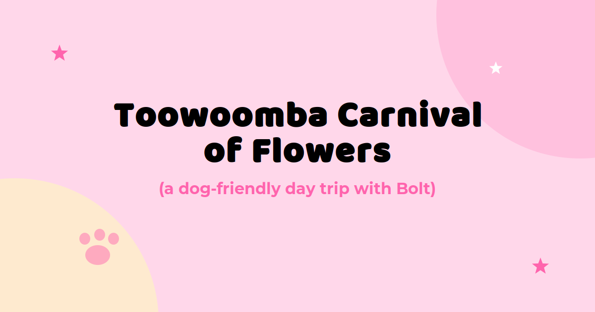 Dog-Friendly Toowoomba Carnival of Flowers Guide 2026
