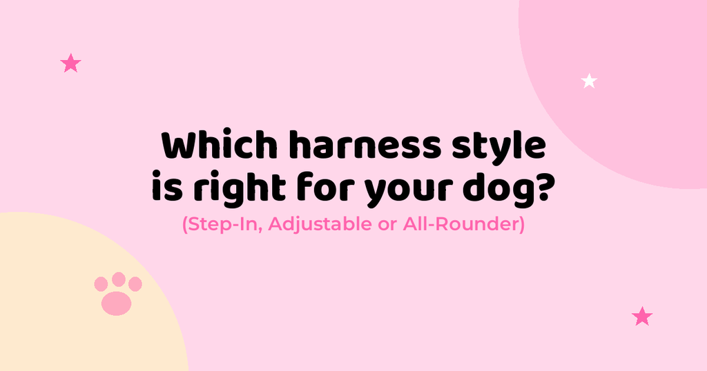 Step-In vs All-Rounder vs Adjustable: Which Harness Fits Your Dog?