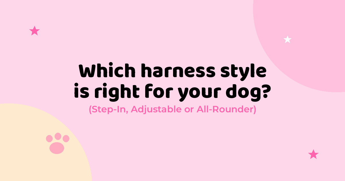 Step-In vs All-Rounder vs Adjustable: Which Harness Fits Your Dog?
