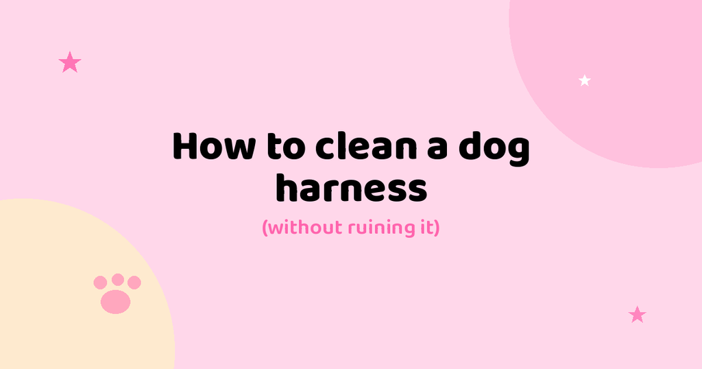 How to Clean a Dog Harness (Without Ruining It)