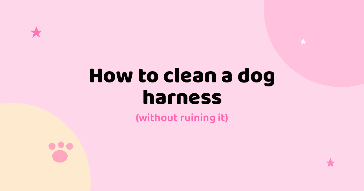 How to Clean a Dog Harness (Without Ruining It)