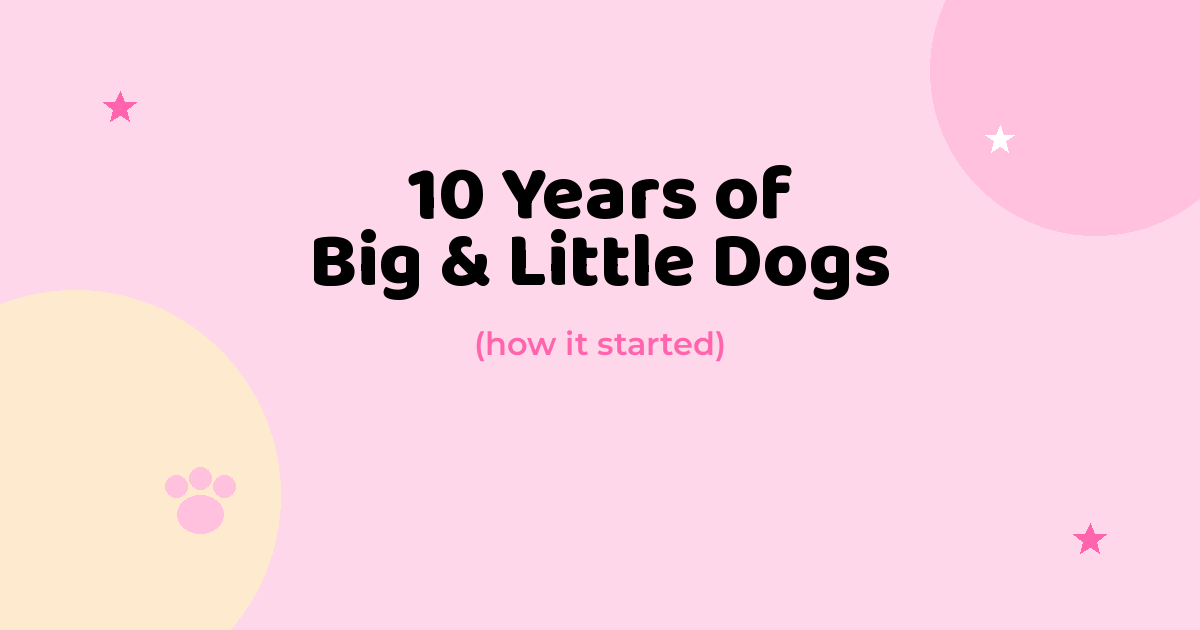 10 Years of Big & Little Dogs: How It Started