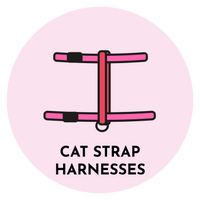 Cat Strap Harness