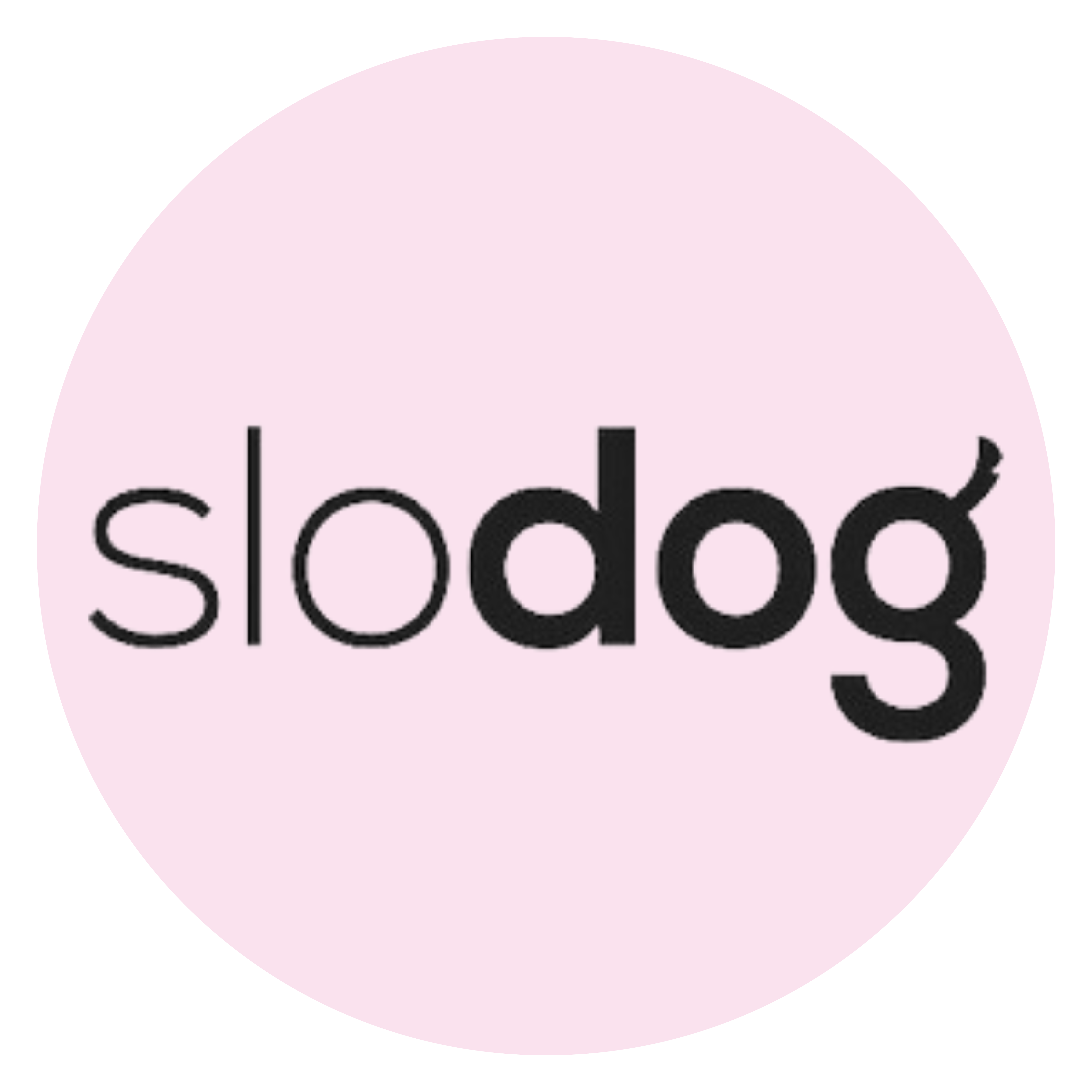 SloDog Plates for Dogs – Big & Little Dogs