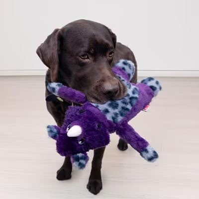 KONG: Jungle Jamz - Rhino