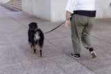 ATTACHD | The Attachdᵀᴹ Hands-Free Dog Belt | Plus (95-170cm)