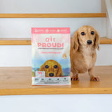 DOG FOOD | Proudi: airPROUDI - Single Protein Beef 400g