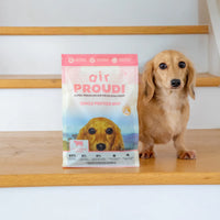 DOG FOOD | Proudi: airPROUDI - Single Protein Beef 400g
