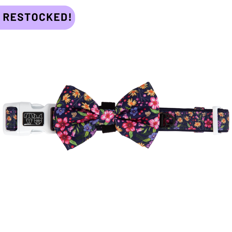 DOG COLLAR (+ BOW TIE option): Petal Paradise