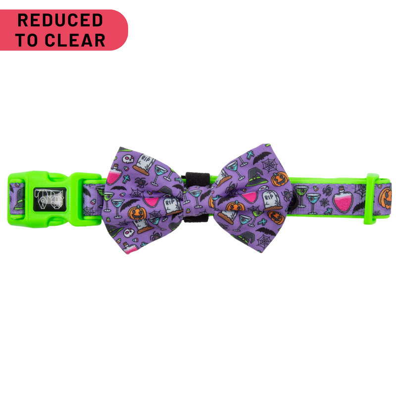 DOG COLLAR & BOW TIE: Haunted Hound {FINAL SALE}