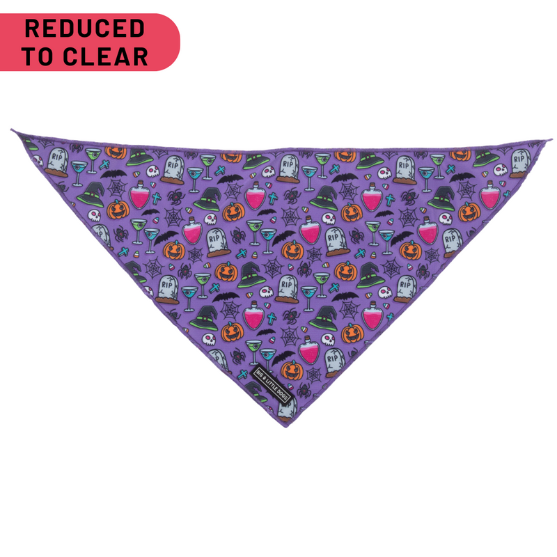 DOG BANDANA: Haunted Hound {FINAL SALE}