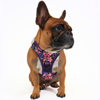 THE ALL-ROUNDER DOG HARNESS: Petal Paradise