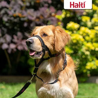 HALTI: Dog Headcollar (Black)