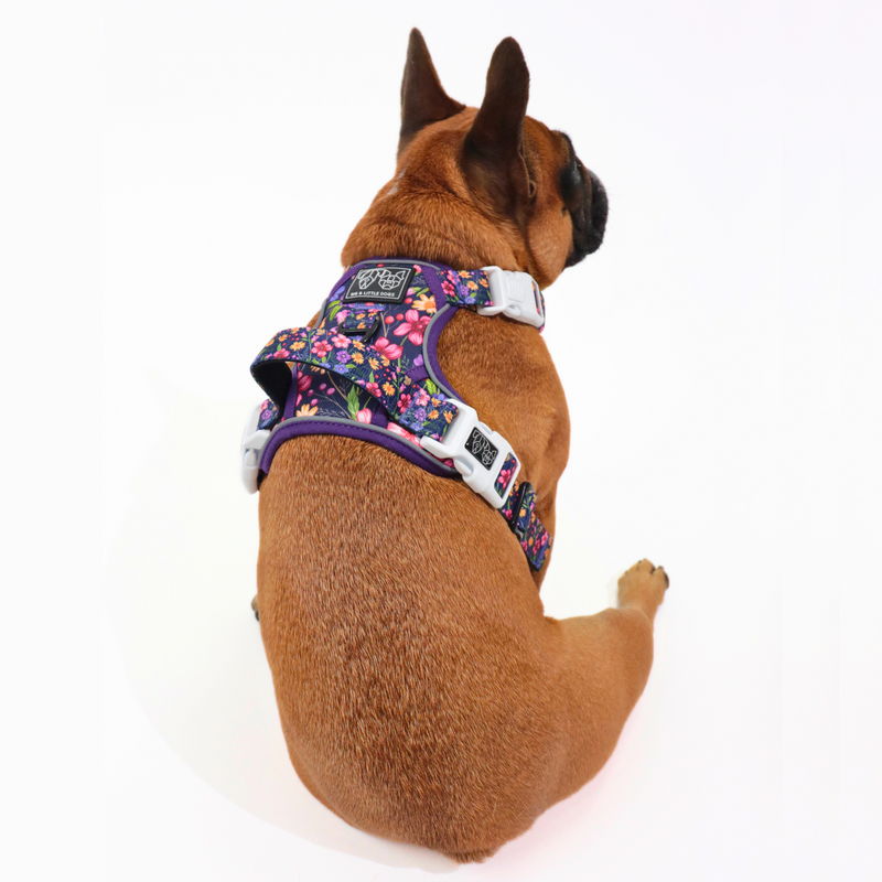 THE ALL-ROUNDER DOG HARNESS: Petal Paradise