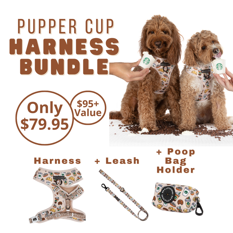 HARNESS BUNDLE: Pupper Cup