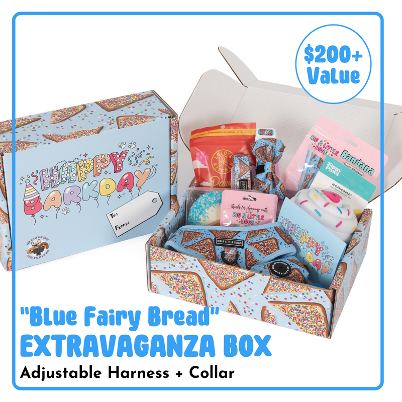 BIRTHDAY EXTRAVAGANZA BOX: "Blue Fairy Bread" Harness & Collar