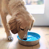 Loving Pets: Le Bol Bowl Non Skid Stainless Steel Bowl | Seine Blue - Large