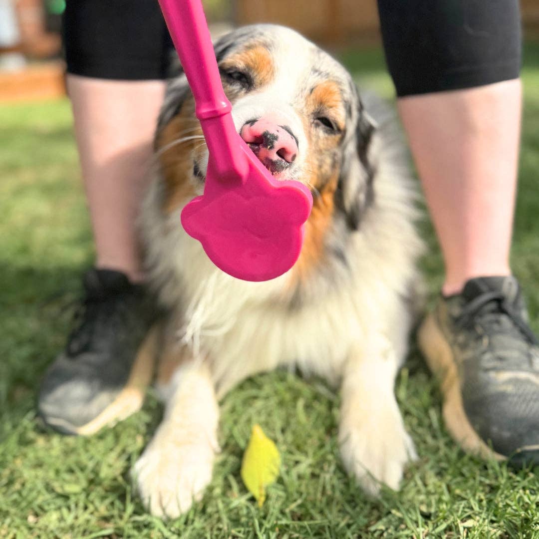 Lick Sticks: Ice Cream Cone Lick Stick Pink Big Little Dogs