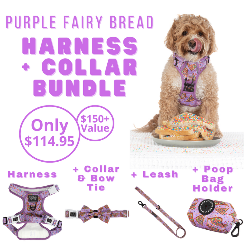HARNESS & COLLAR BUNDLE: Purple Fairy Bread