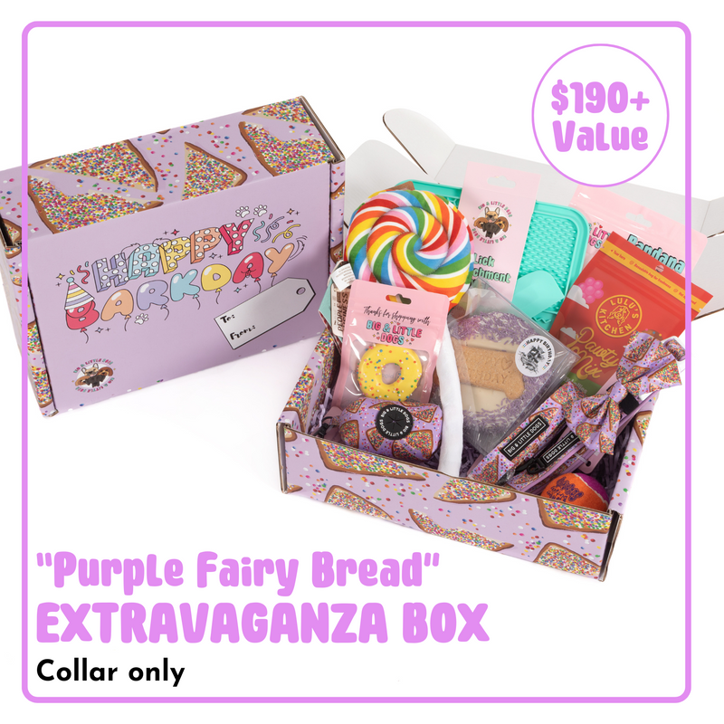 BIRTHDAY EXTRAVAGANZA BOX: "Purple Fairy Bread" Collar