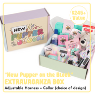 NEW PUPPER ON THE BLOCK EXTRAVAGANZA BOX: Adjustable Harness & Collar