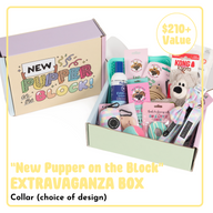 NEW PUPPER ON THE BLOCK EXTRAVAGANZA BOX: Collar