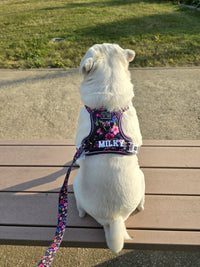 THE ALL-ROUNDER DOG HARNESS: Petal Paradise