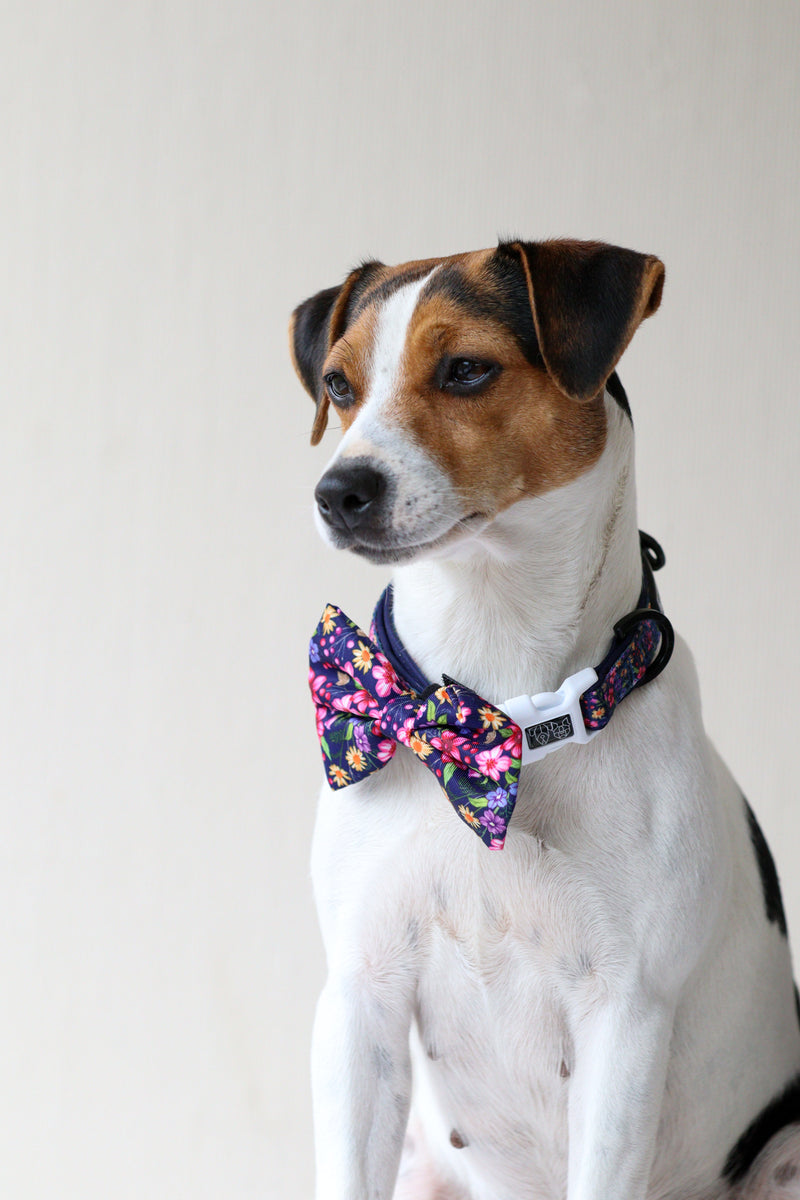 DOG COLLAR (+ BOW TIE option): Petal Paradise