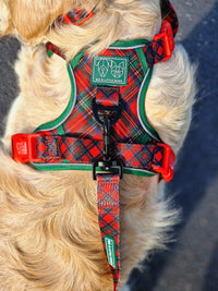 THE ALL-ROUNDER DOG HARNESS: Festive Tartan {FINAL SALE}