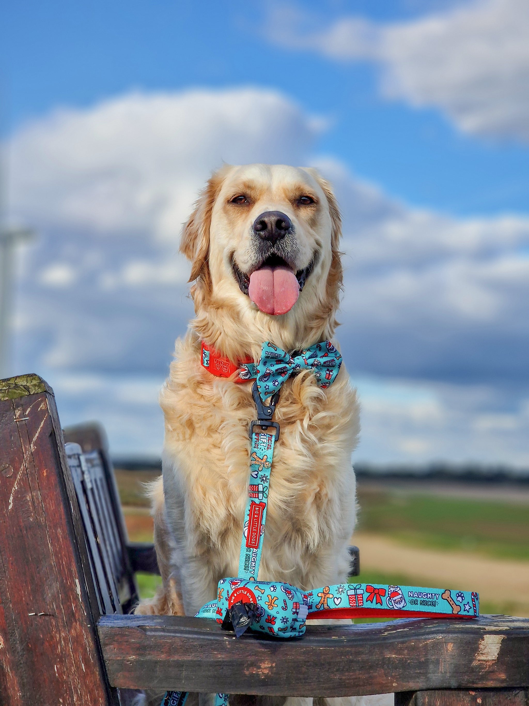 DOG COLLAR (+ BOW TIE option): Official Gift Sniffer (NEW!)