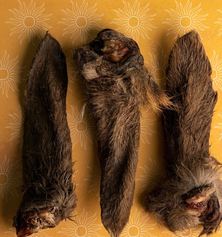 Pick 'n' Mix | Venison Ear with Fur | 1 Pce