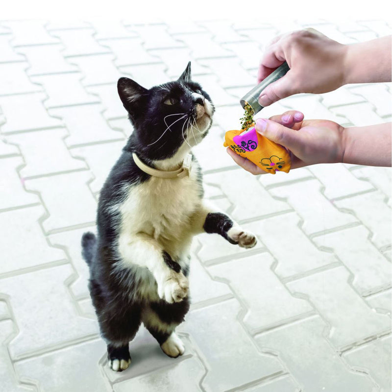 KONG (CAT): Naturals - Refillables Premium Catnip Tubes For Cats 3 x 9g
