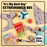 BIRTHDAY EXTRAVAGANZA BOX: "It's My Bark Day" Harness & Collar