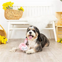 Fringe Studio: No Bunny Compares Plush Dog Toy