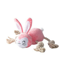 Fringe Studio: No Bunny Compares Plush Dog Toy